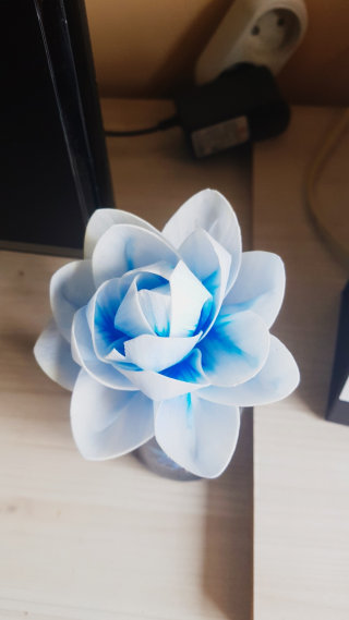 쥬루뚜류뚜님이 올린 리뷰 사진 1