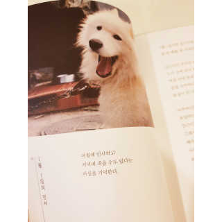 조소민님이 올린 리뷰 사진 2