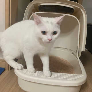 보니타님이 올린 리뷰 사진 4
