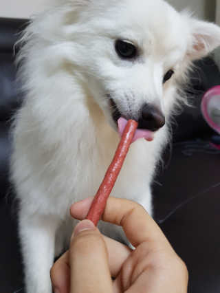 뇽뇽님이 올린 리뷰 사진 3