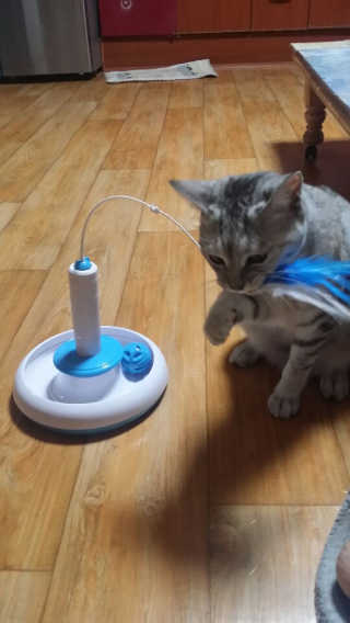 으콩님이 올린 리뷰 사진 3