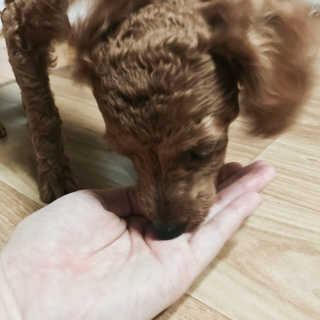 권주희님이 올린 리뷰 사진 3