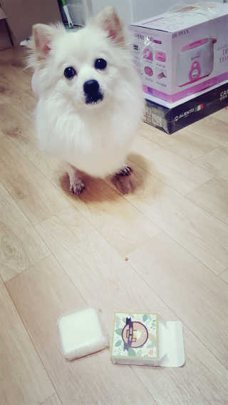 희동이님이 올린 리뷰 사진 2