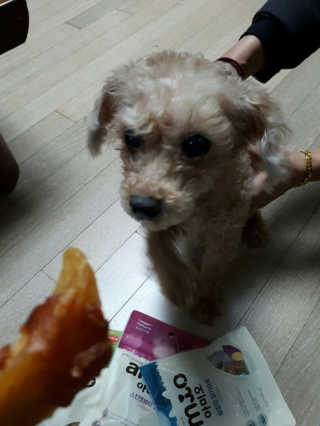 앙징징님이 올린 리뷰 사진 2