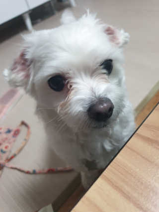 히릿코코님이 올린 리뷰 사진 3