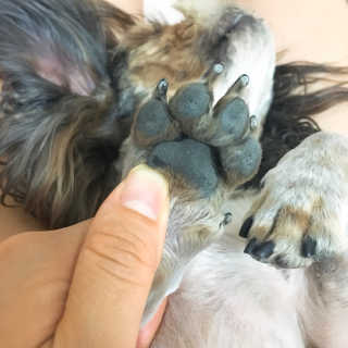 베베츄님이 올린 리뷰 사진 3