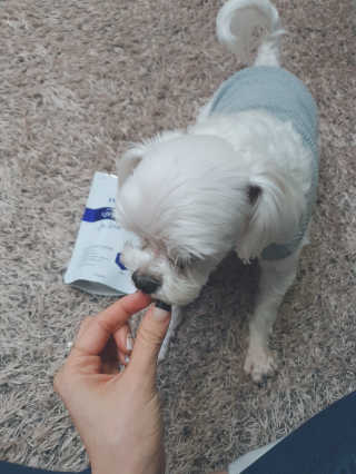 뽀슈님이 올린 리뷰 사진 3