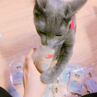 펫츠플레이트 동결건조간식 기호성 테스트 8종 — 5점을 준 리뷰어가 2018년 5월 올린 사용 사진