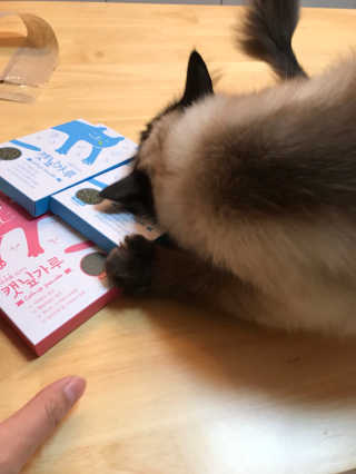 고니고니걸걸님이 올린 리뷰 사진 2