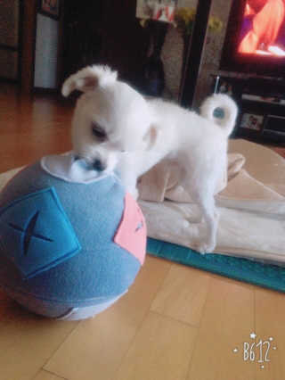 김경옥님이 올린 리뷰 사진 1