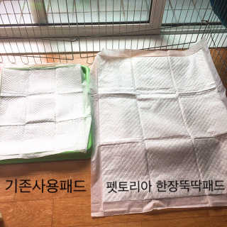 펫토리아 한장뚝딱 NEW 프리미엄 국내산 배변패드 — 5점을 준 리뷰어가 2019년 5월 올린 사용 사진