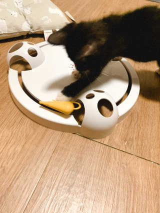 랑이님이 올린 리뷰 사진 3