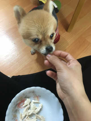 석진주님이 올린 리뷰 사진 2