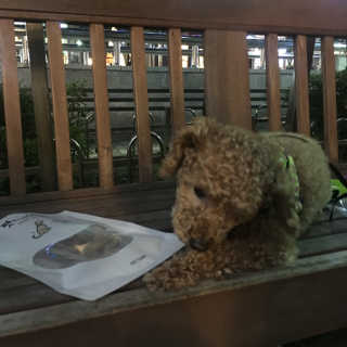 강지수님이 올린 리뷰 사진 4