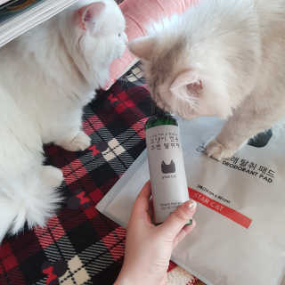 Hyojician님이 올린 리뷰 사진 3