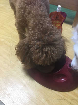 밍크찡님이 올린 리뷰 사진 3
