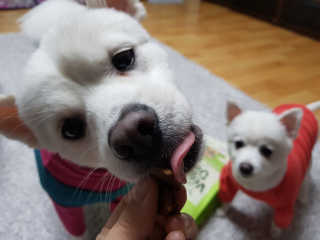 sys님이 올린 리뷰 사진 3