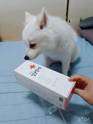 [펫토리아]살균뚝딱 강아지 고양이 살균소독제 탈취제 — 5점을 준 리뷰어가 2019년 10월 올린 사용 사진
