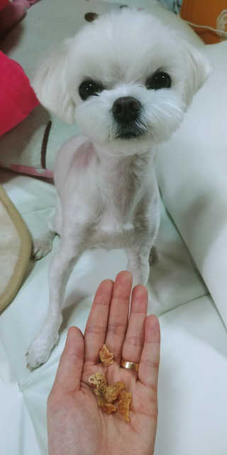 *혤블리 :)님이 올린 리뷰 사진 3