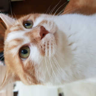 단비k님이 올린 리뷰 사진 3