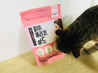 차혜경님이 올린 리뷰 사진 2
