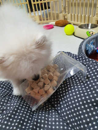 ssosso_yab님이 올린 리뷰 사진 2