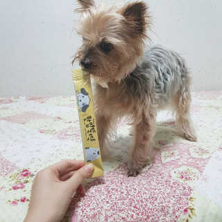 [펫토리아]짜먹는 한입뚝딱 강아지.고양이 마약간식 — 5점을 준 리뷰어가 2019년 8월 올린 사용 사진