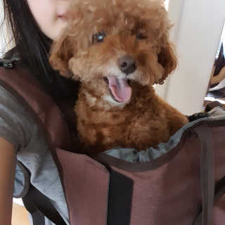 코밍쏭님이 올린 리뷰 사진 1