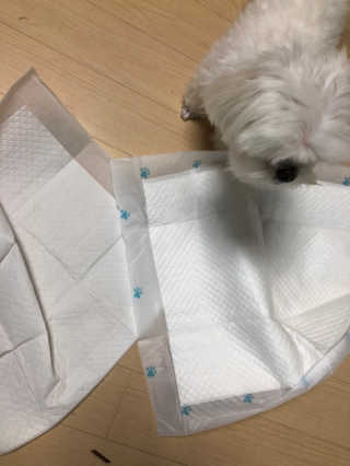 율리킴님이 올린 리뷰 사진 3