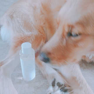 아보카도올리브님이 올린 리뷰 사진 1