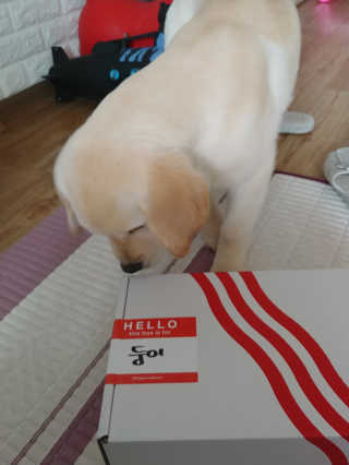 하은영님이 올린 리뷰 사진 1