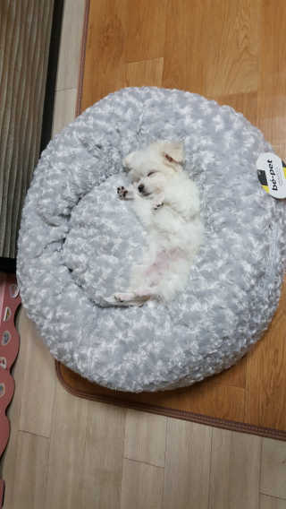 망고우쭈쭈님이 올린 리뷰 사진 1