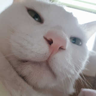 초록사나님이 올린 리뷰 사진 3