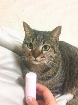 나강나강님이 올린 리뷰 사진 2
