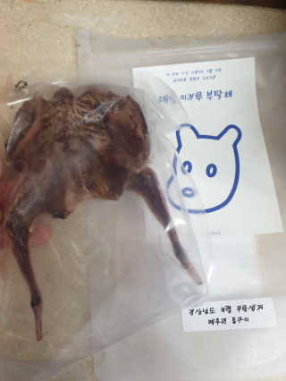 [어글어글] 반려견 친환경 간식 9종 세트 — 3점을 준 리뷰어가 2020년 3월 올린 사용 사진