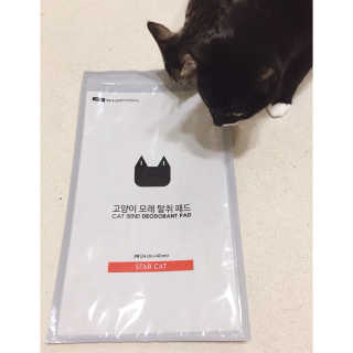 Eunhye님이 올린 리뷰 사진 1