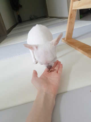 이선영님이 올린 리뷰 사진 3