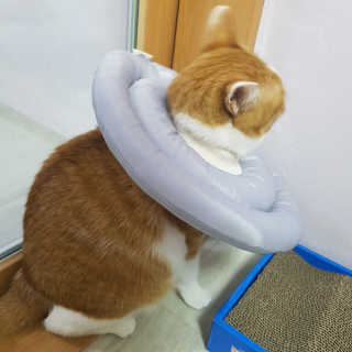 sooosoo님이 올린 리뷰 사진 2
