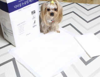 아이링님이 올린 리뷰 사진 4