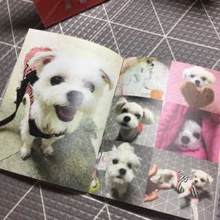 당근님이 올린 리뷰 사진 3