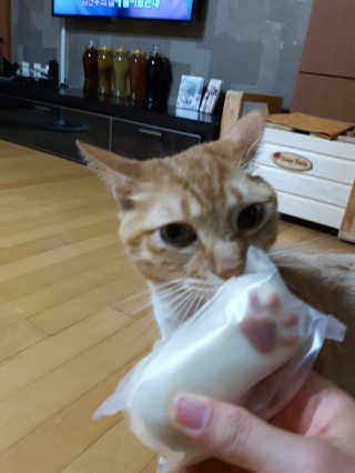 림림님이 올린 리뷰 사진 3