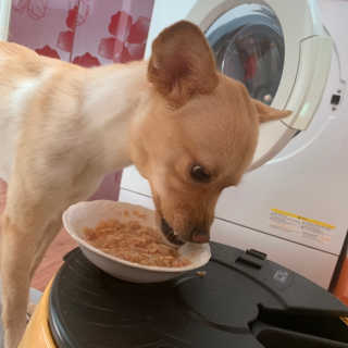 보리언니님이 올린 리뷰 사진 3