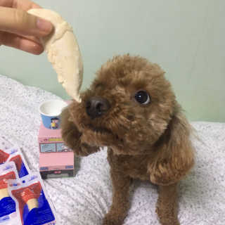 겸재니님이 올린 리뷰 사진 1