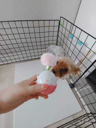 이령아님이 올린 리뷰 사진 2