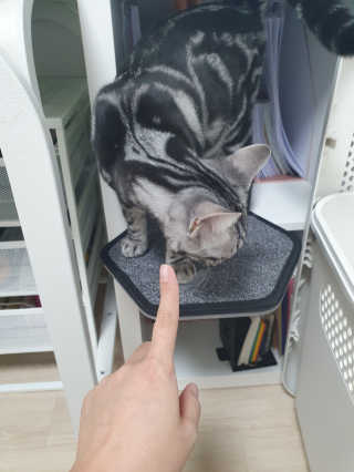 유리맘님이 올린 리뷰 사진 2
