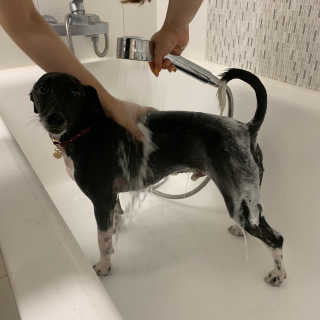 킹콩님이 올린 리뷰 사진 3