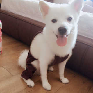 두부감자님이 올린 리뷰 사진 3