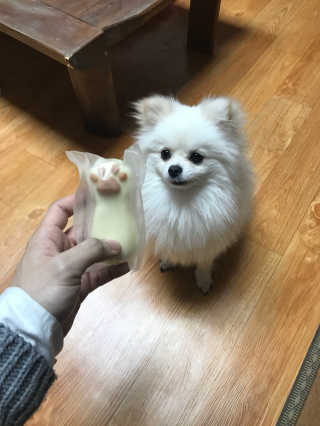 정재백님이 올린 리뷰 사진 1
