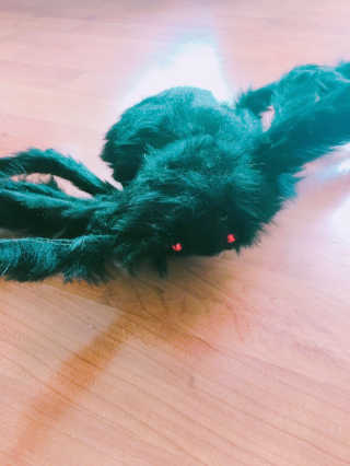 현님이 올린 리뷰 사진 2