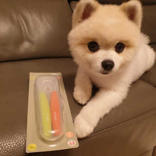 박잉님이 올린 리뷰 사진 2